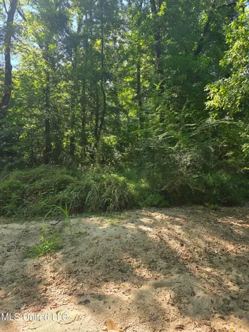 $99,000 | Tate Road, Natchez, MS 39120