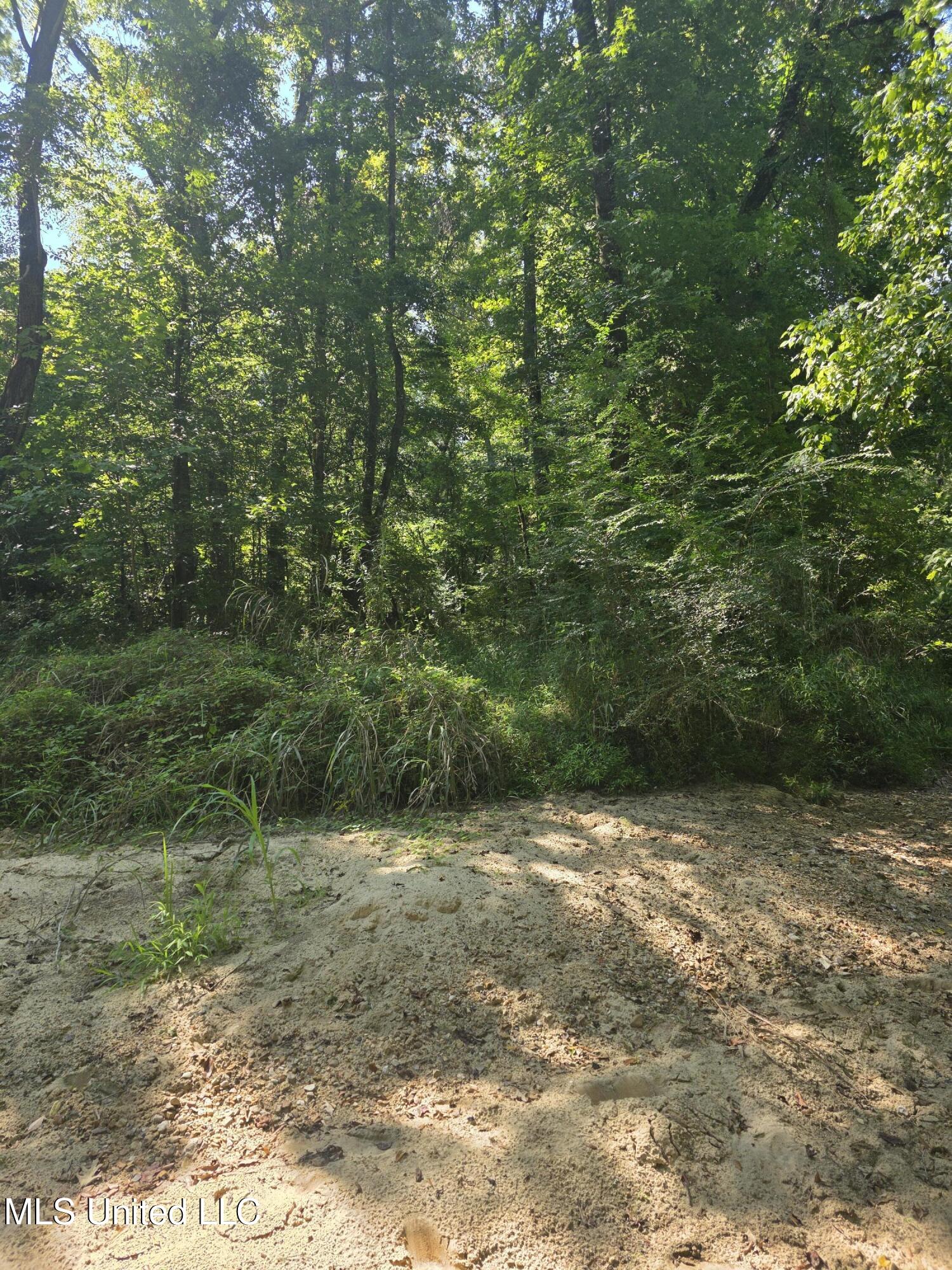 Tate Road Natchez, MS 39120 - Photo 11 of 74 15828