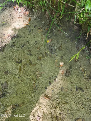 $99,000 | Tate Road, Natchez, MS 39120