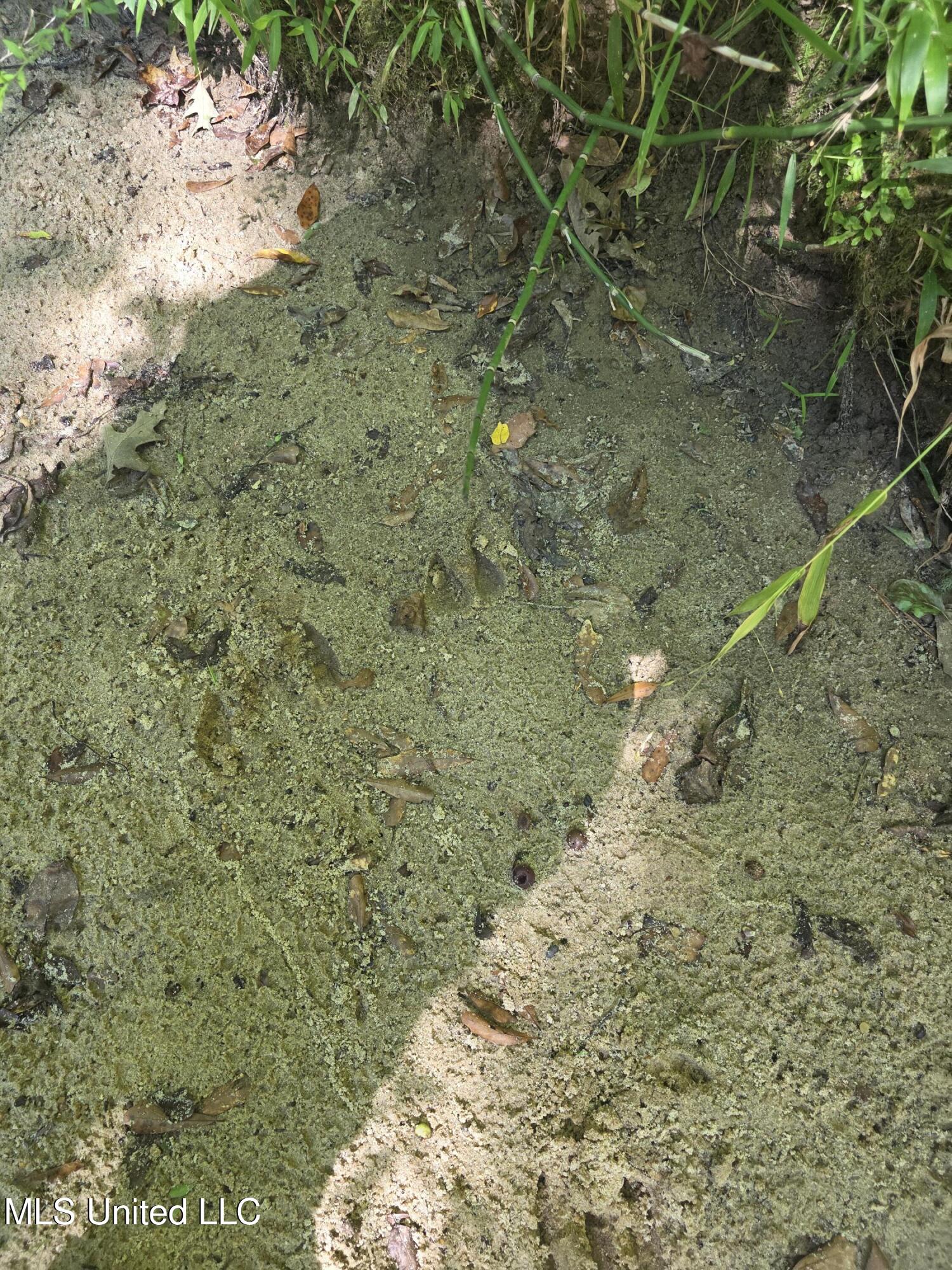 Tate Road Natchez, MS 39120 - Photo 17 of 74 15834