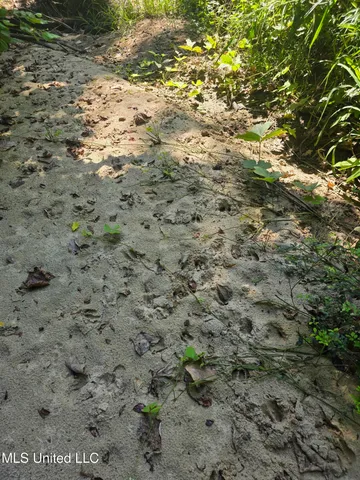 $99,000 | Tate Road, Natchez, MS 39120