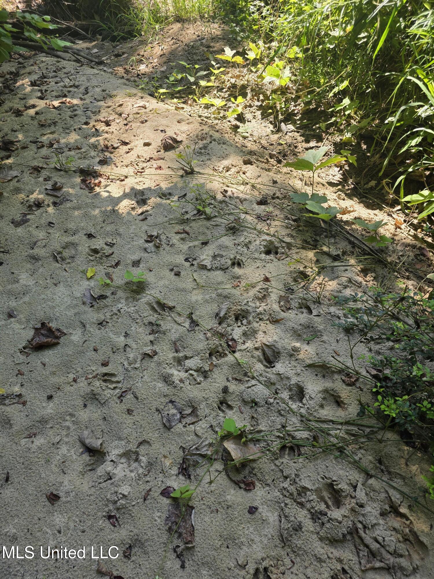 Tate Road Natchez, MS 39120 - Photo 19 of 74 15838