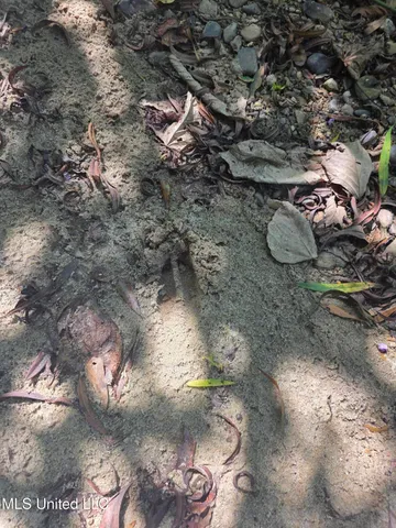 $99,000 | Tate Road, Natchez, MS 39120