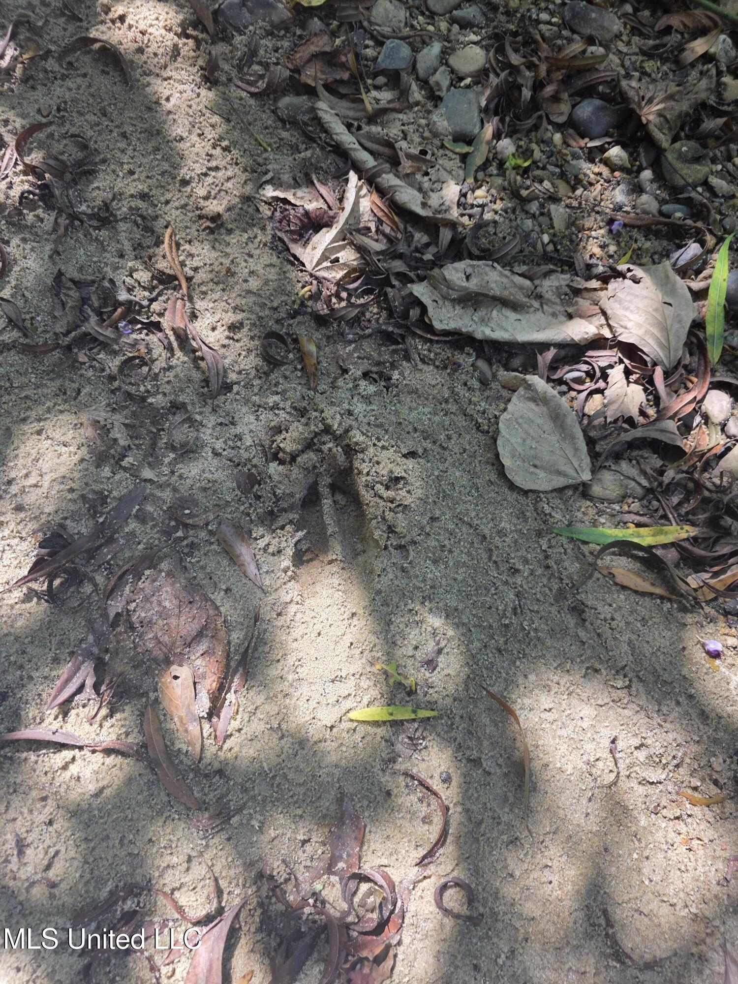 Tate Road Natchez, MS 39120 - Photo 20 of 74 15837