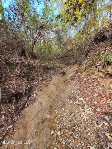 $99,000 | Tate Road, Natchez, MS 39120