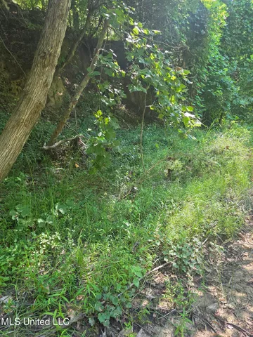 $99,000 | Tate Road, Natchez, MS 39120