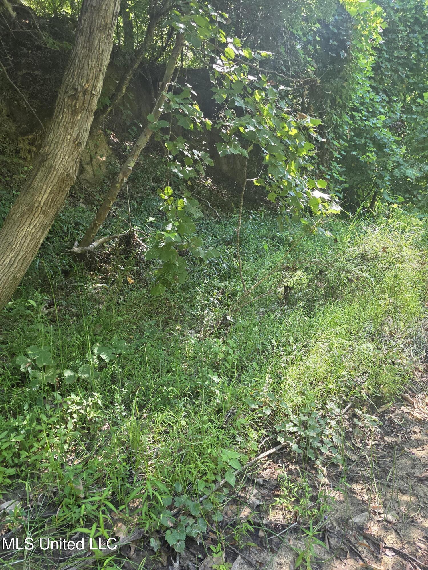 Tate Road Natchez, MS 39120 - Photo 21 of 74 15836