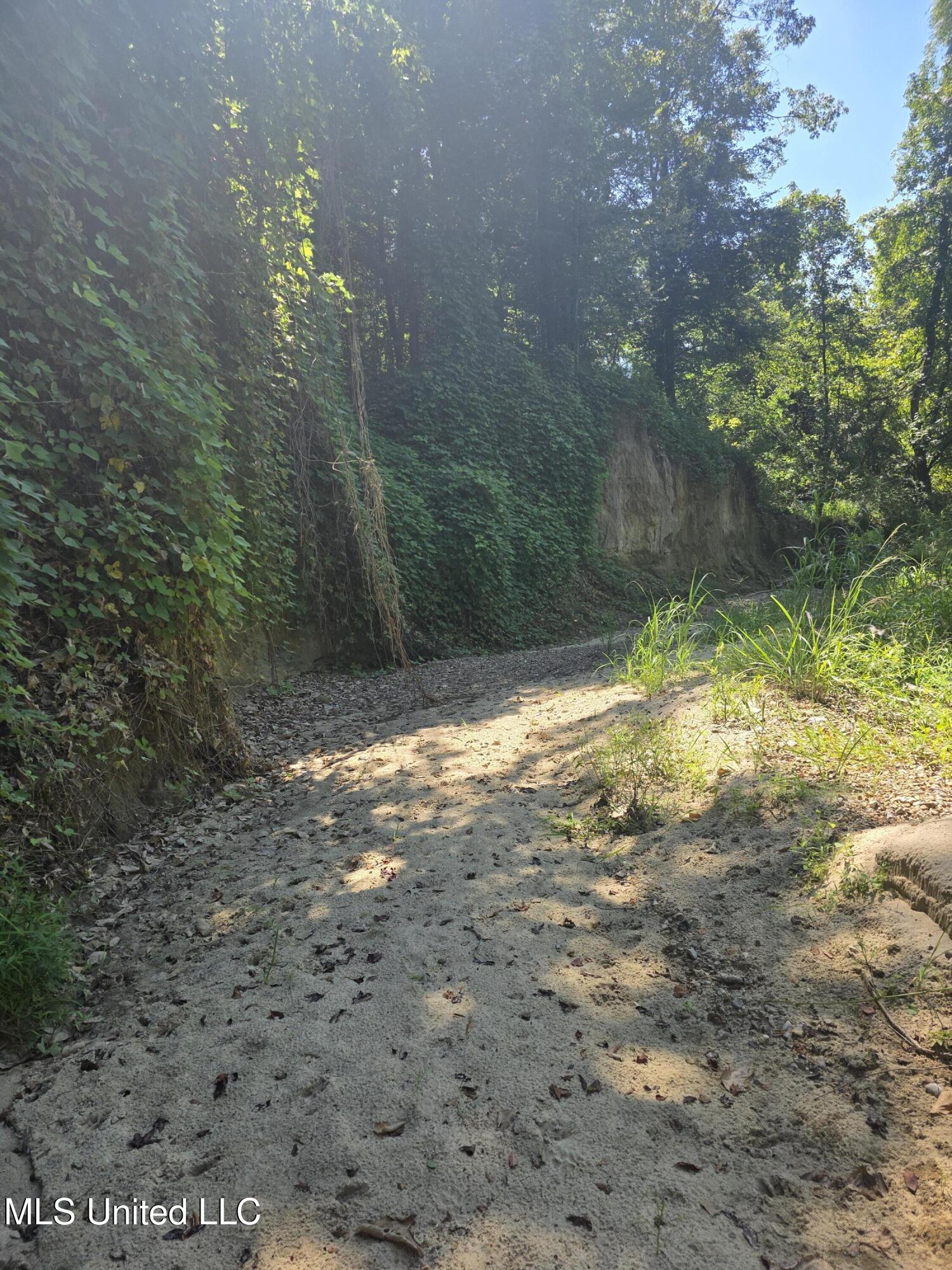 Tate Road Natchez, MS 39120 - Photo 22 of 74 15839