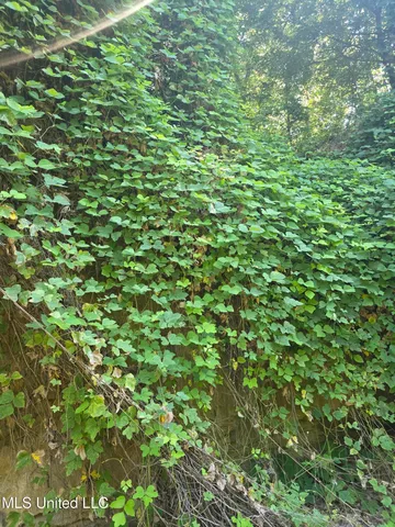 $99,000 | Tate Road, Natchez, MS 39120