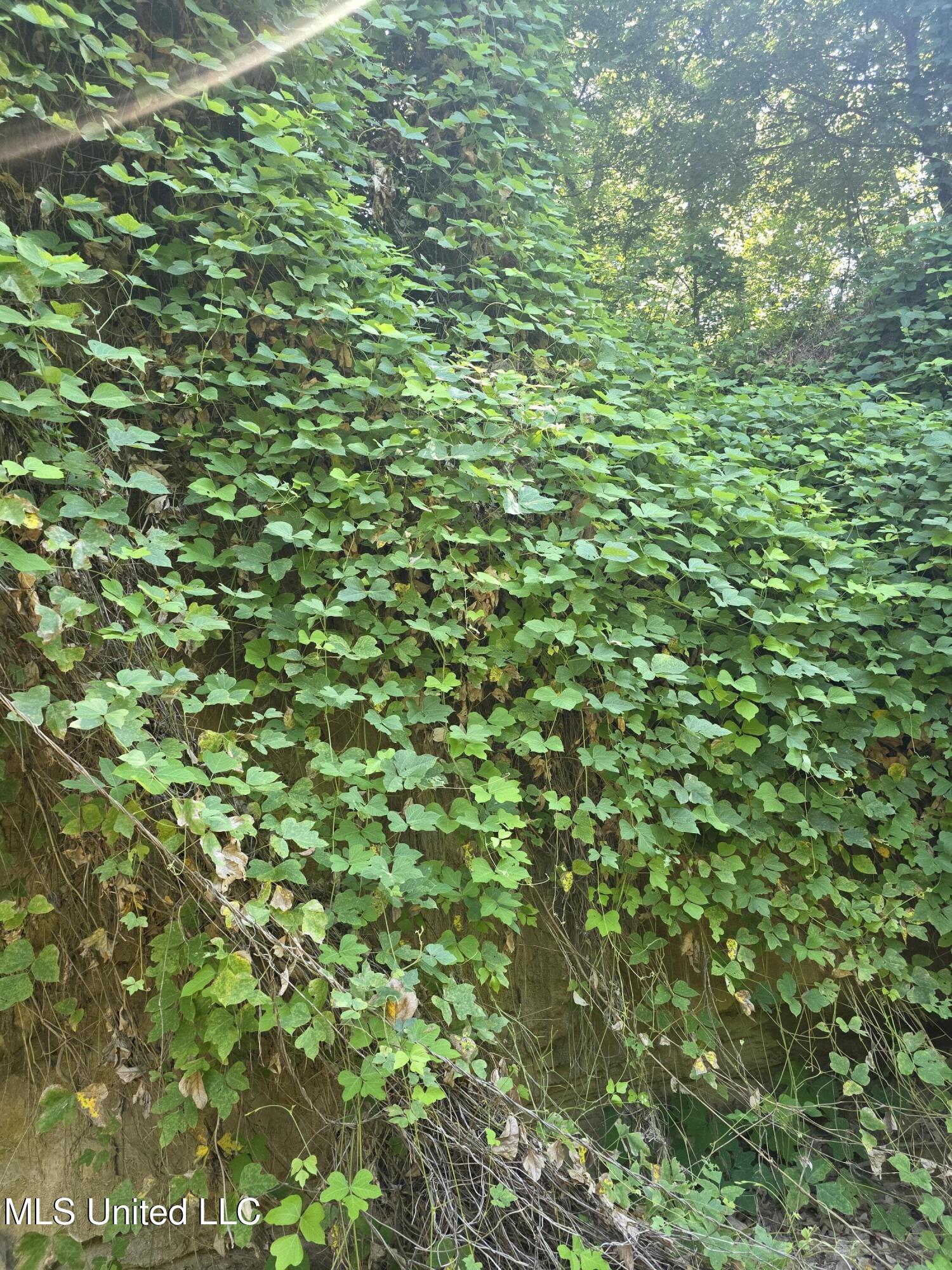 Tate Road Natchez, MS 39120 - Photo 23 of 74 15840