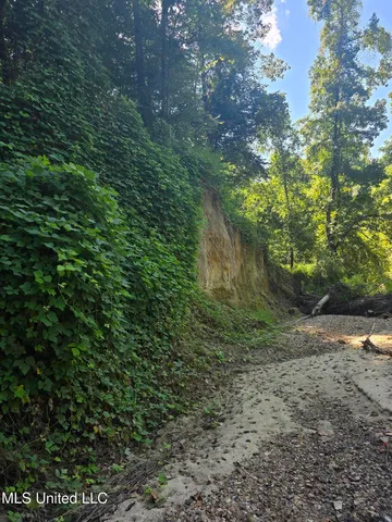 $99,000 | Tate Road, Natchez, MS 39120