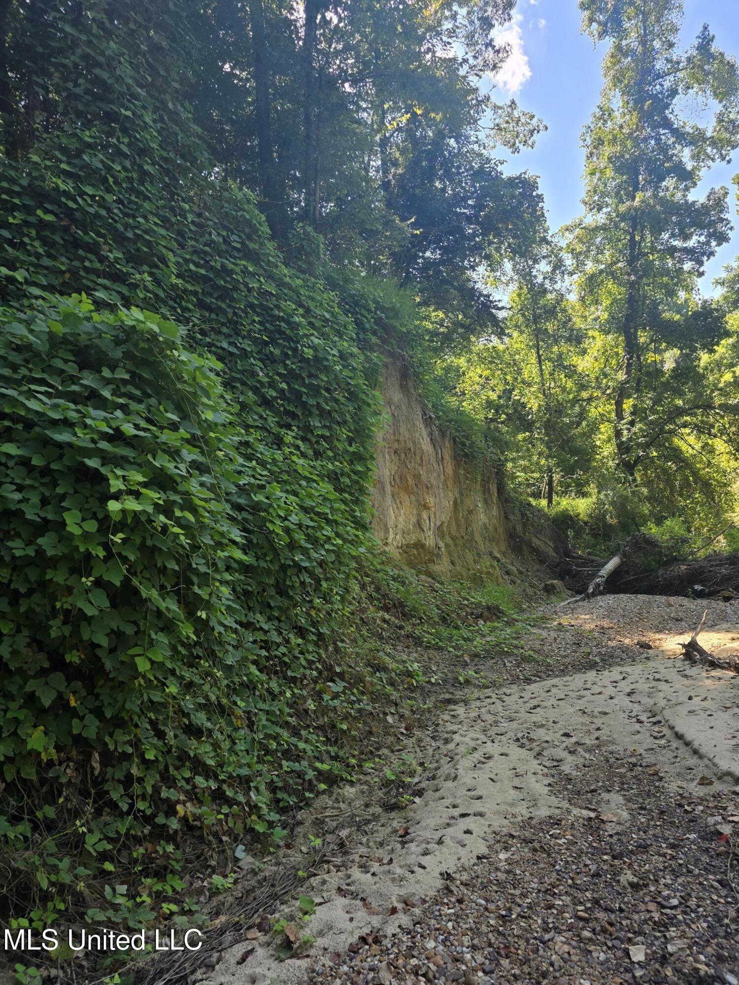 Tate Road Natchez, MS 39120 - Photo 24 of 74 15841