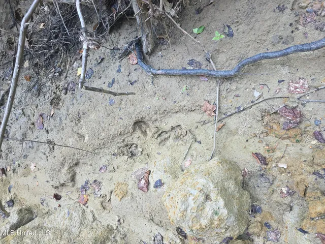 $99,000 | Tate Road, Natchez, MS 39120