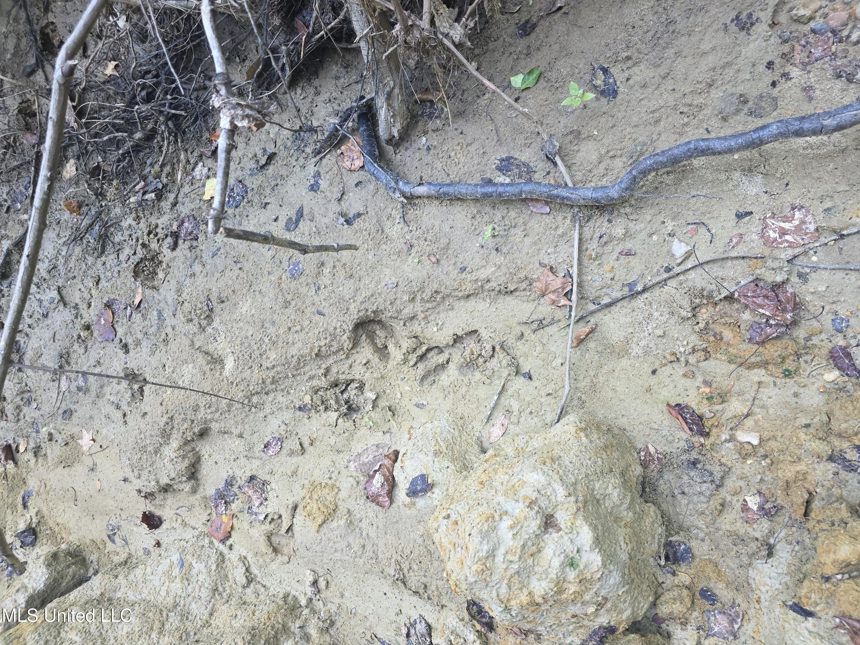 Tate Road Natchez, MS 39120 - Photo 25 of 74 15842