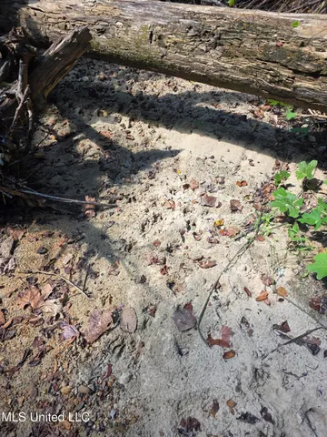 $99,000 | Tate Road, Natchez, MS 39120