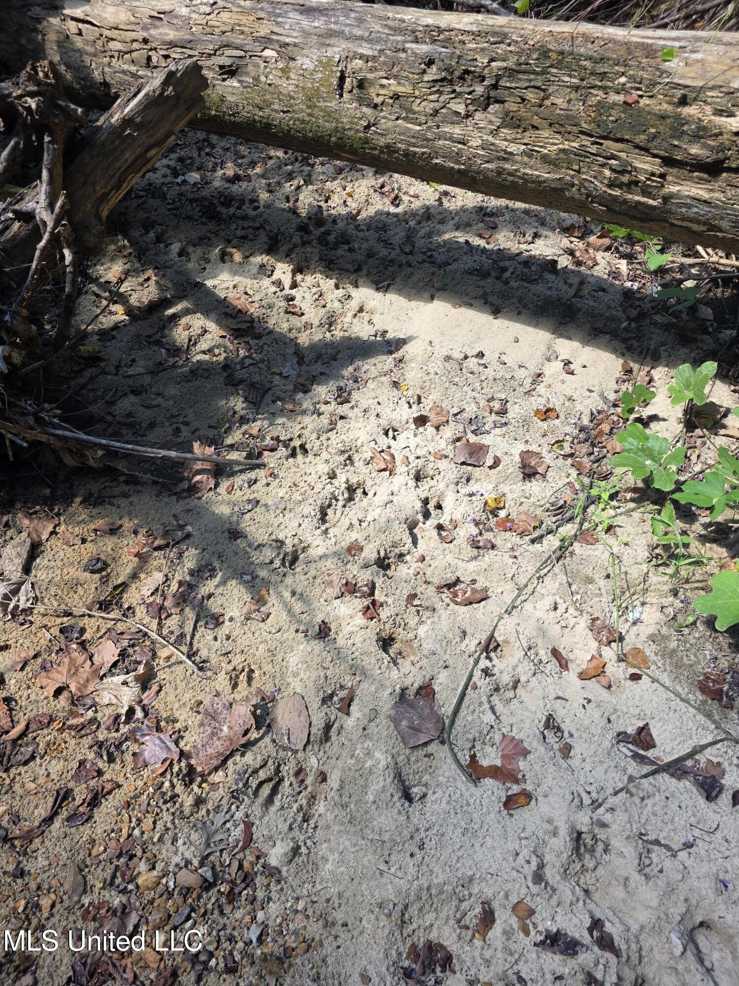 Tate Road Natchez, MS 39120 - Photo 26 of 74 15843