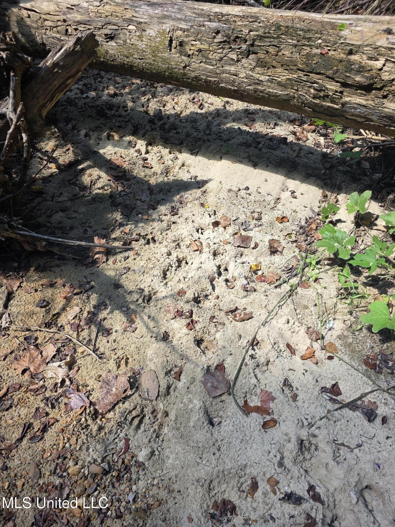 Tate Road Natchez, MS 39120 - Photo 27 of 74 15844