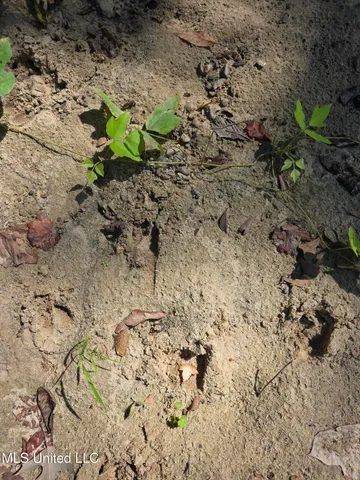 $99,000 | Tate Road, Natchez, MS 39120