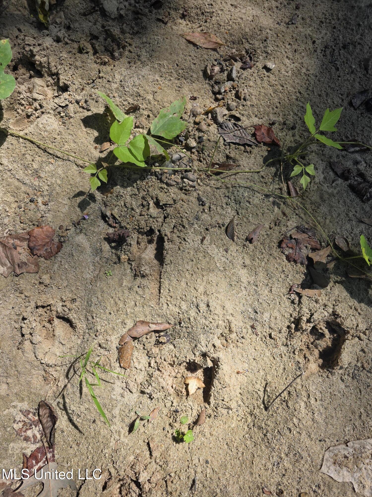 Tate Road Natchez, MS 39120 - Photo 28 of 74 15845
