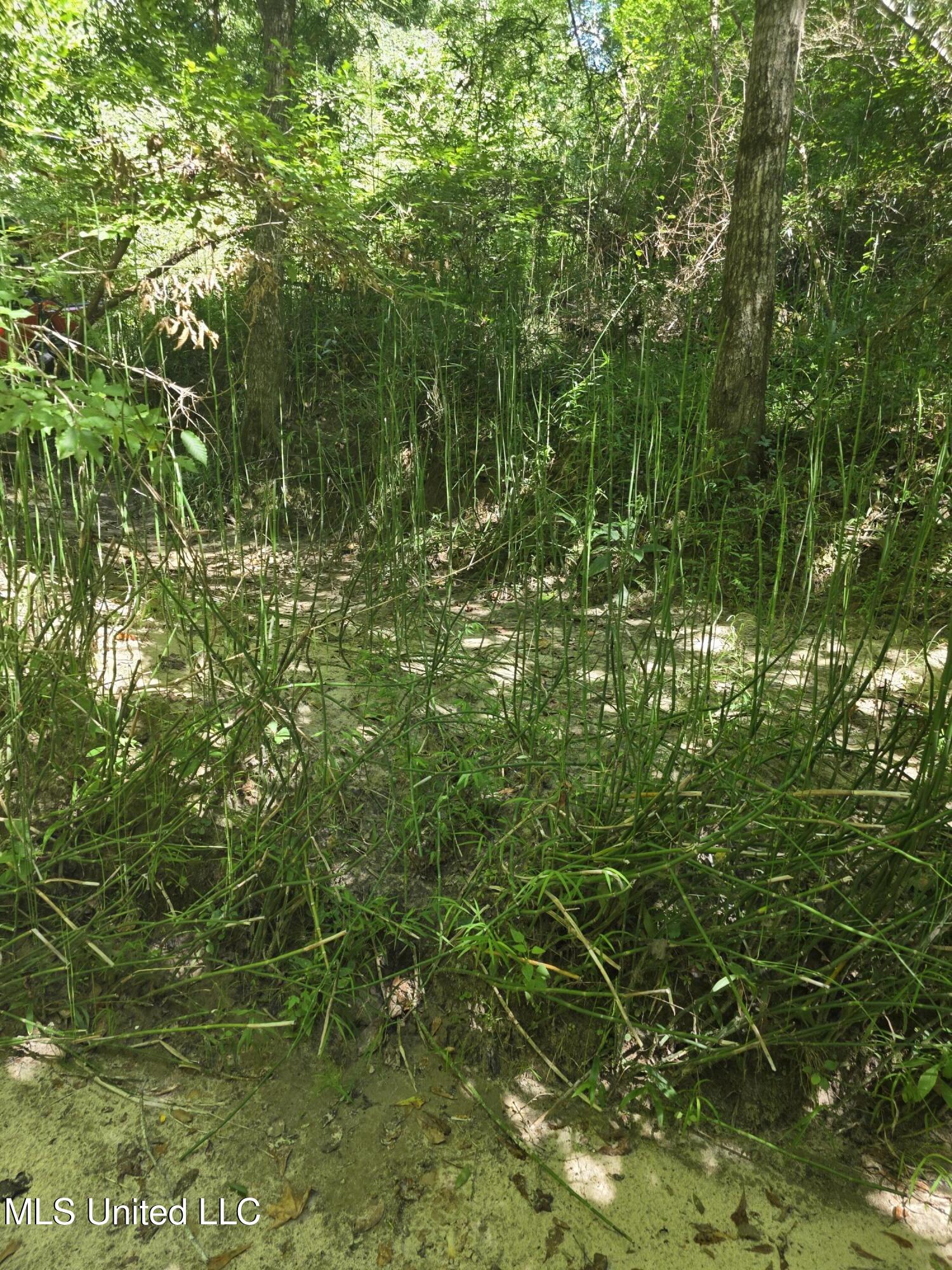 Tate Road Natchez, MS 39120 - Photo 29 of 74 15846