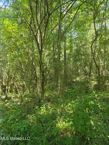 $99,000 | Tate Road, Natchez, MS 39120