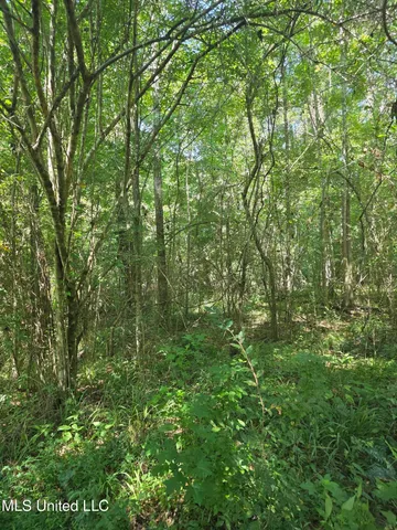 $99,000 | Tate Road, Natchez, MS 39120