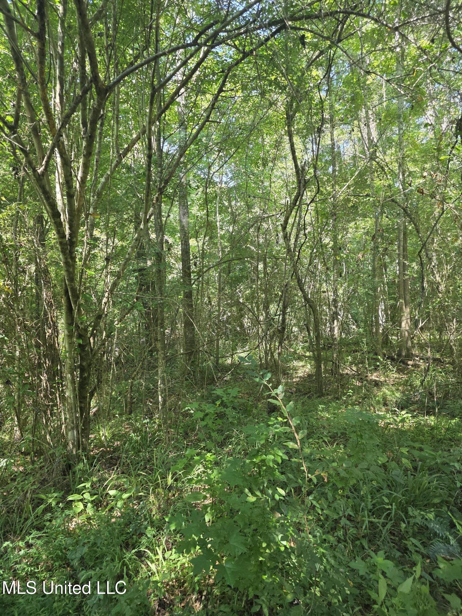 Tate Road Natchez, MS 39120 - Photo 31 of 74 15848