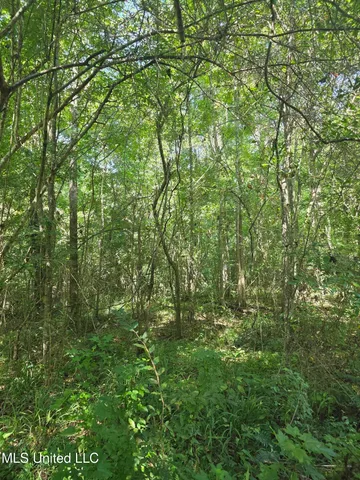 $99,000 | Tate Road, Natchez, MS 39120