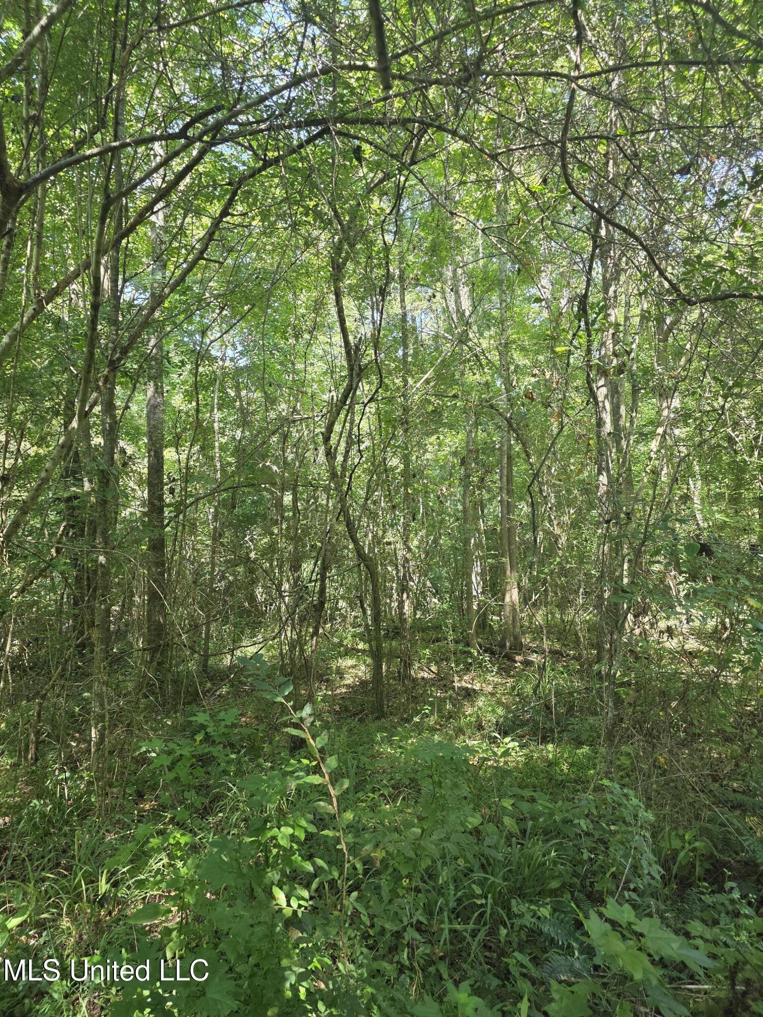 Tate Road Natchez, MS 39120 - Photo 32 of 74 15849