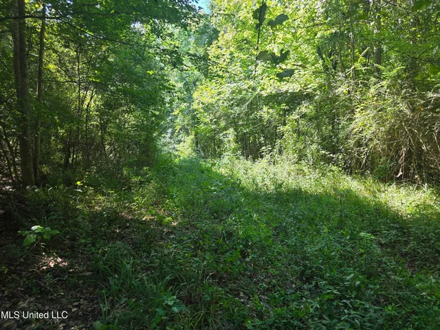 $99,000 | Tate Road, Natchez, MS 39120