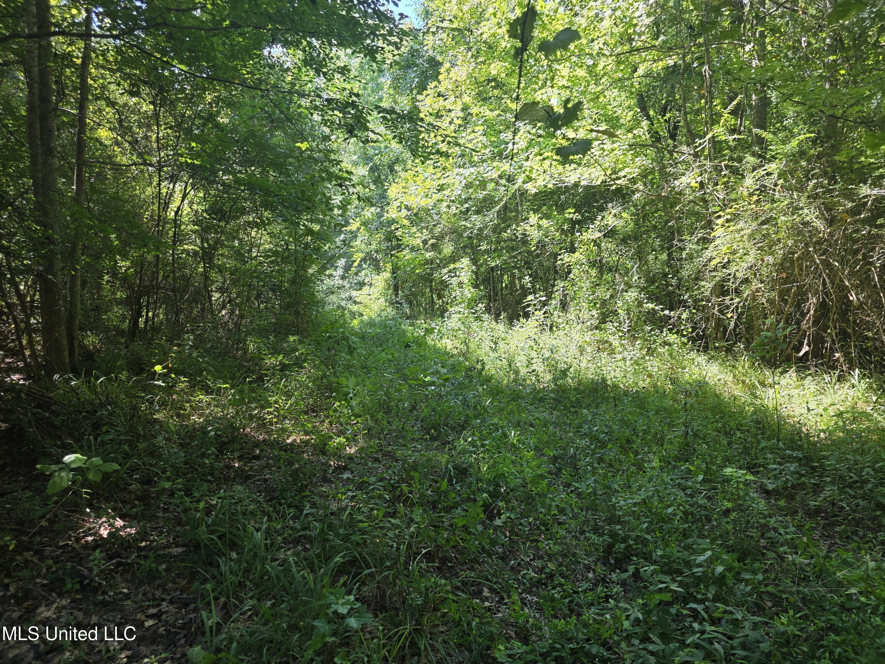 Tate Road Natchez, MS 39120 - Photo 33 of 74 15850