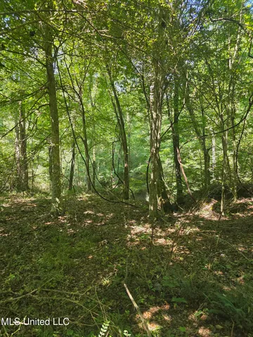 $99,000 | Tate Road, Natchez, MS 39120