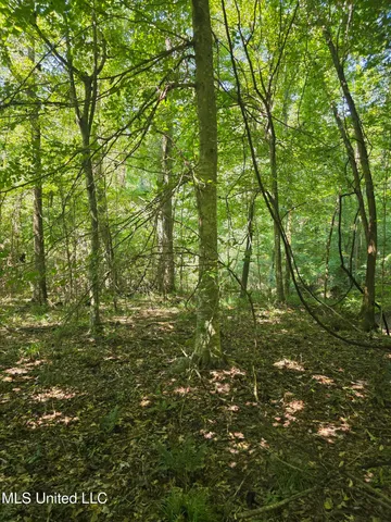 $99,000 | Tate Road, Natchez, MS 39120