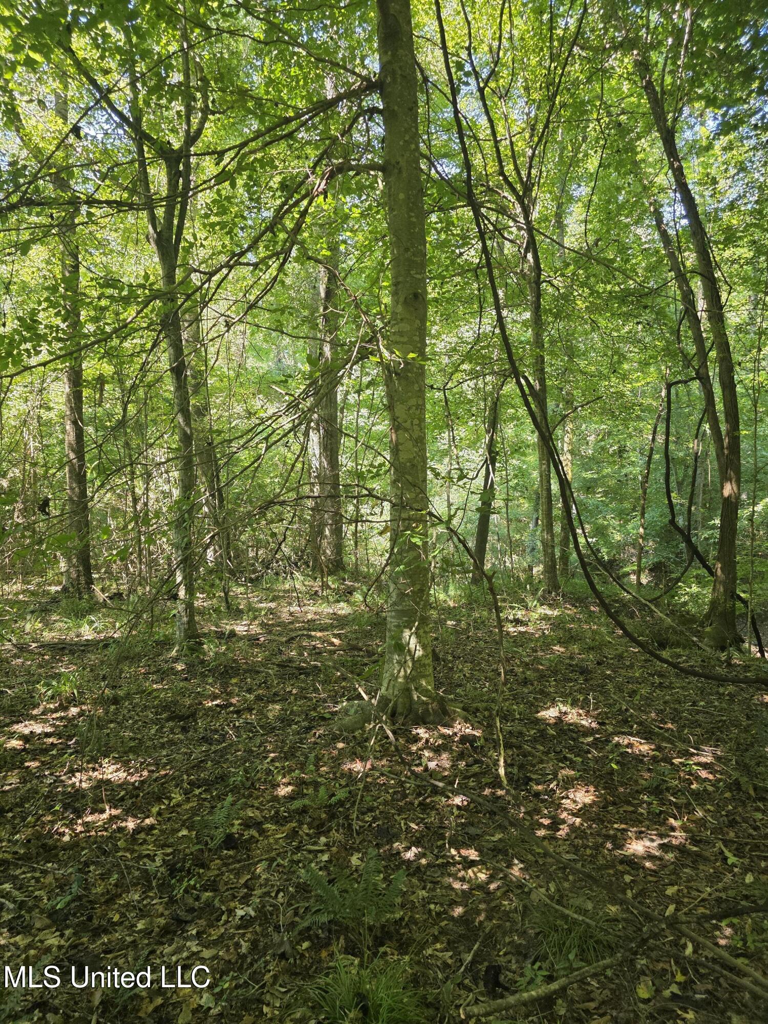 Tate Road Natchez, MS 39120 - Photo 35 of 74 15855