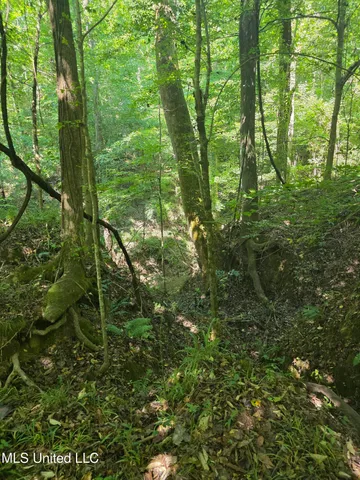 $99,000 | Tate Road, Natchez, MS 39120