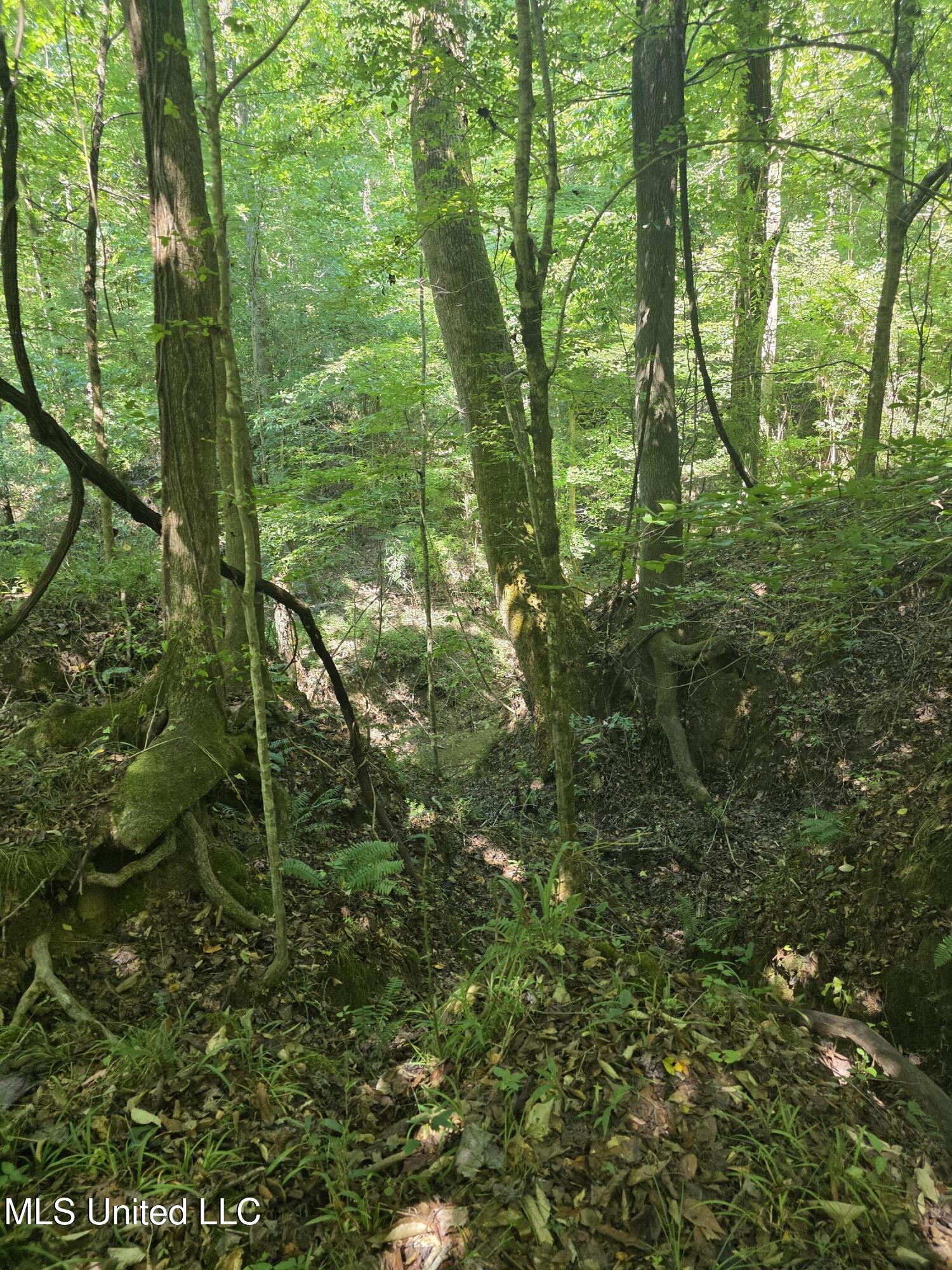 Tate Road Natchez, MS 39120 - Photo 36 of 74 15856