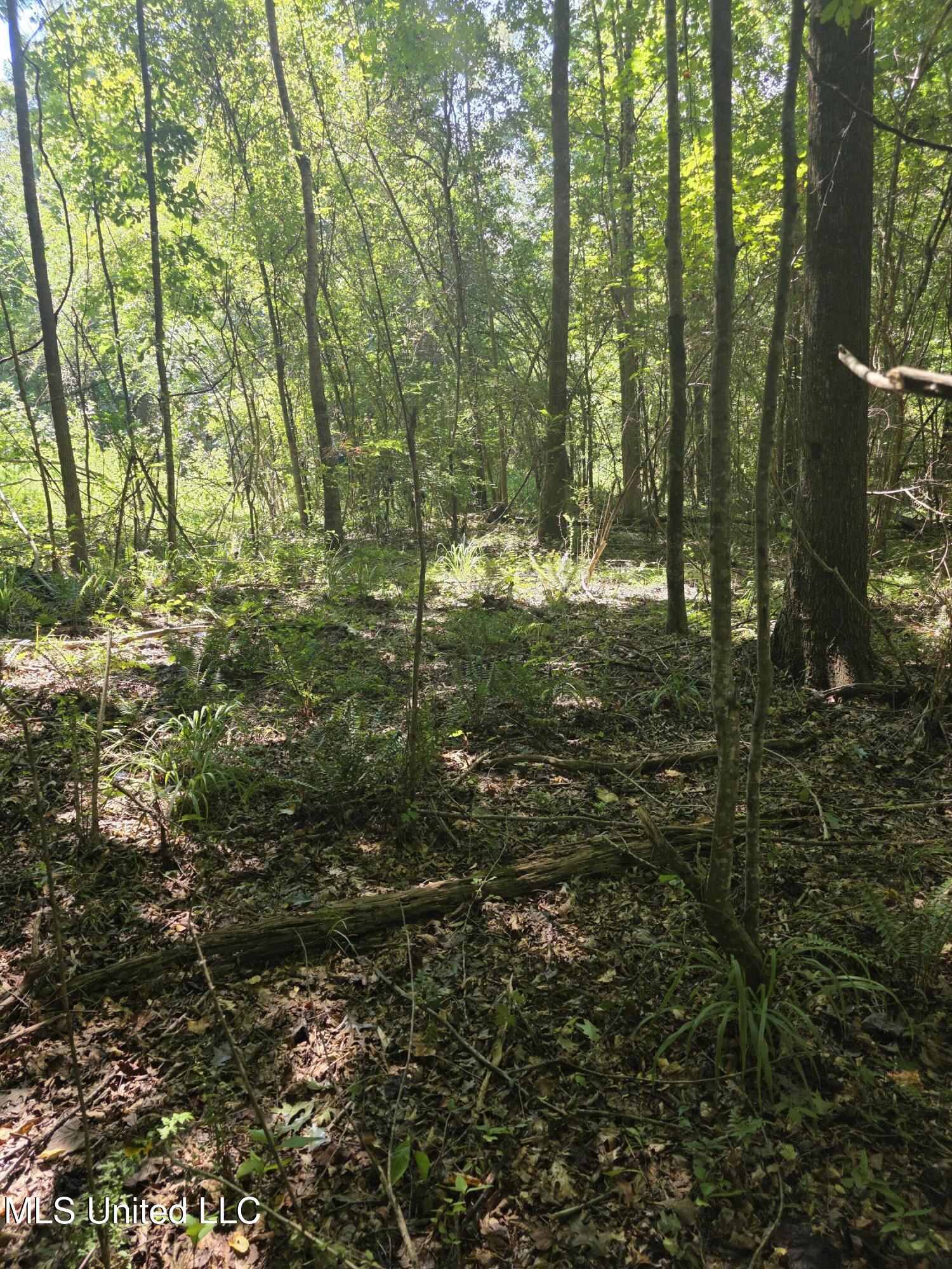 Tate Road Natchez, MS 39120 - Photo 37 of 74 15857