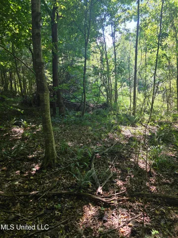 $99,000 | Tate Road, Natchez, MS 39120