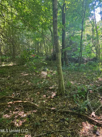 $99,000 | Tate Road, Natchez, MS 39120