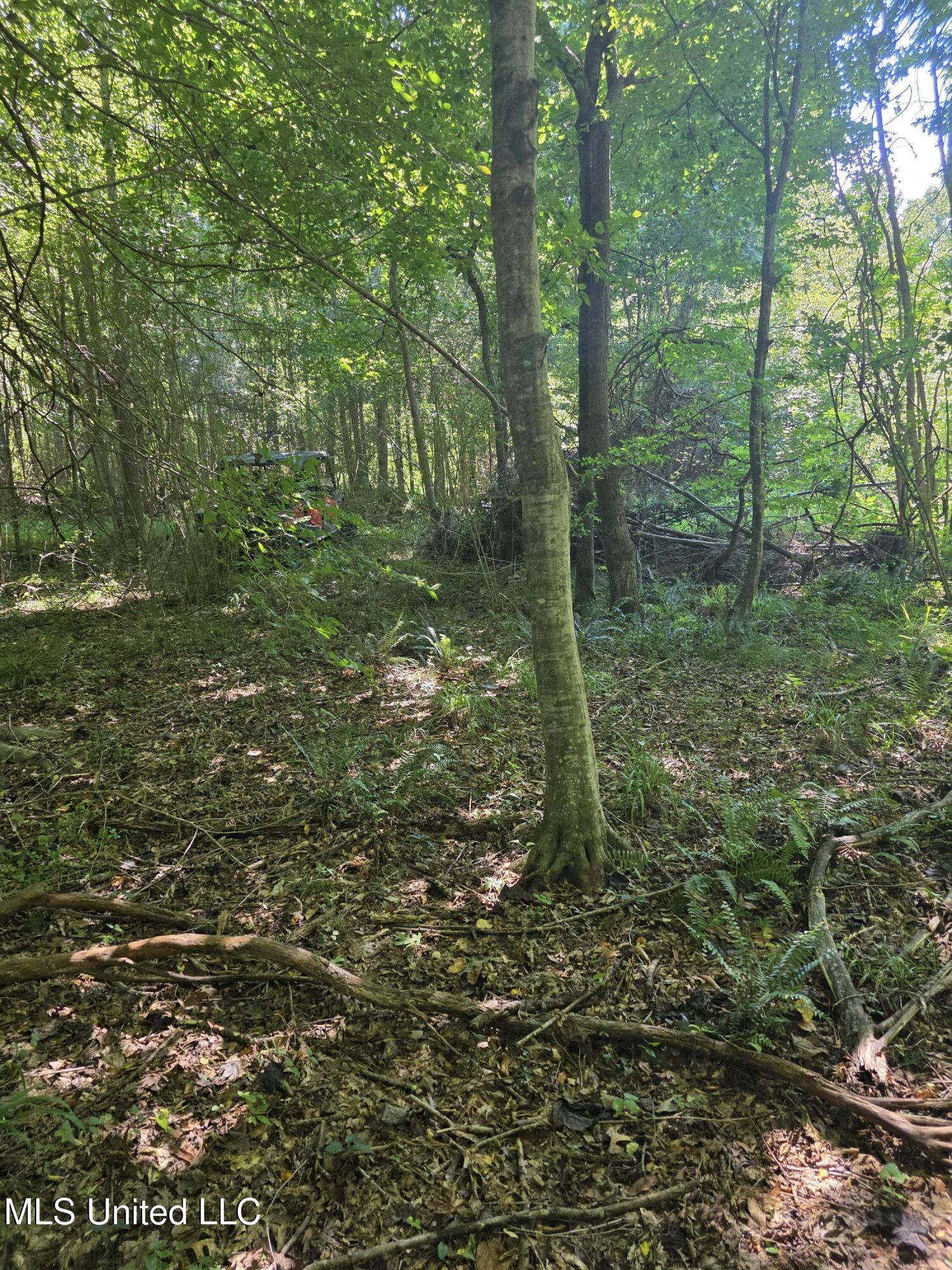 Tate Road Natchez, MS 39120 - Photo 39 of 74 15859