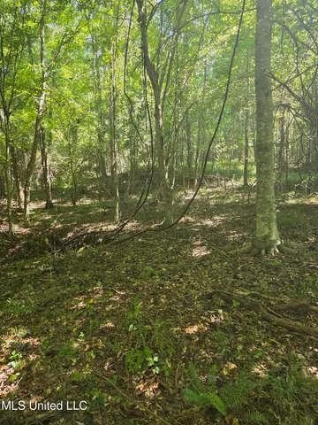 $99,000 | Tate Road, Natchez, MS 39120