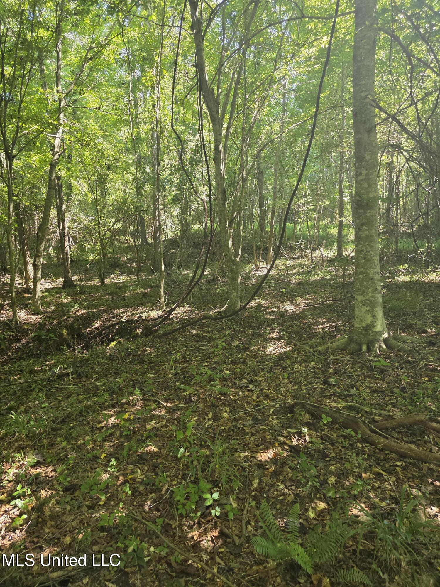 Tate Road Natchez, MS 39120 - Photo 40 of 74 15860