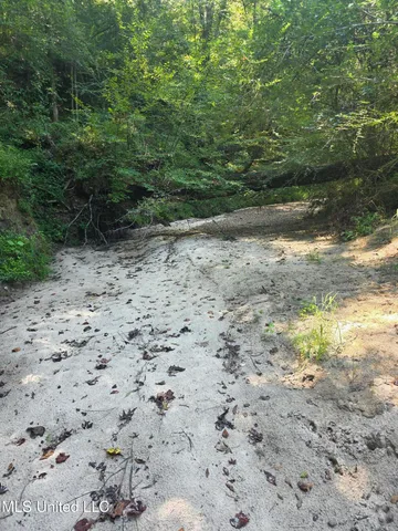 $99,000 | Tate Road, Natchez, MS 39120