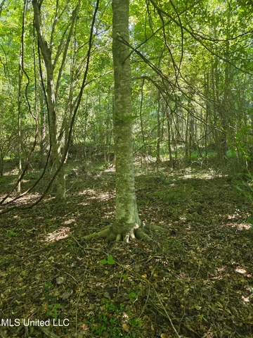 $99,000 | Tate Road, Natchez, MS 39120