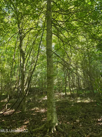 $99,000 | Tate Road, Natchez, MS 39120