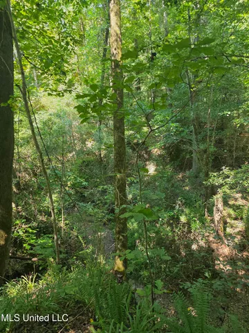 $99,000 | Tate Road, Natchez, MS 39120