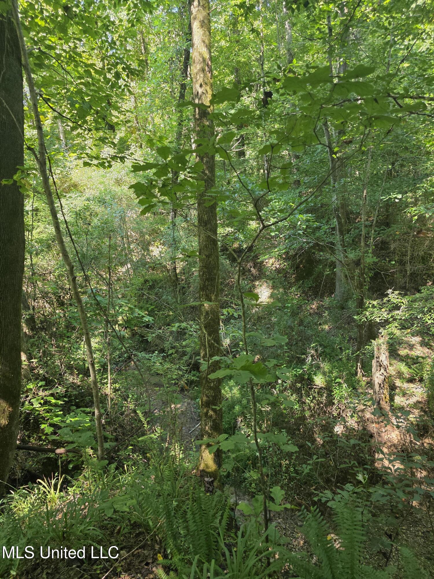 Tate Road Natchez, MS 39120 - Photo 43 of 74 15863