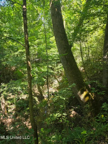 $99,000 | Tate Road, Natchez, MS 39120