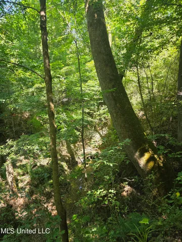 $99,000 | Tate Road, Natchez, MS 39120