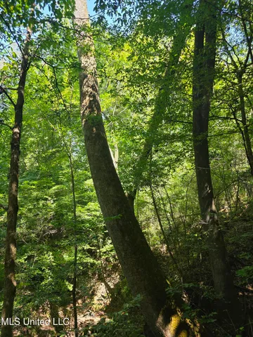 $99,000 | Tate Road, Natchez, MS 39120